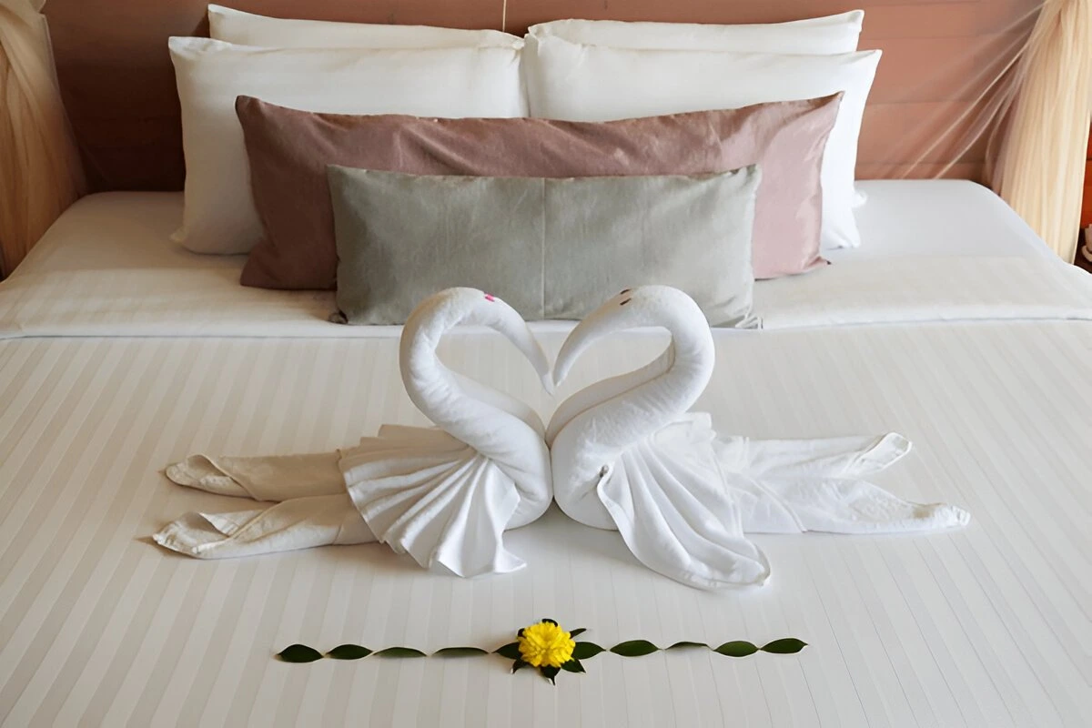 What Pillows Do 5-Star Hotels Use?