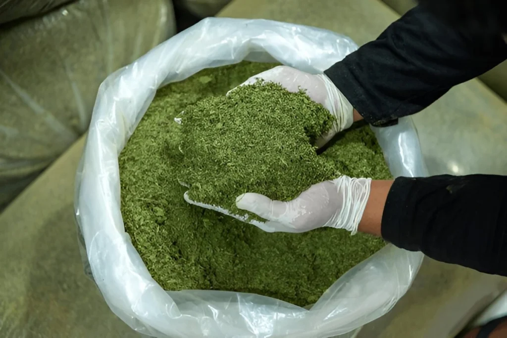 Understanding Kratom