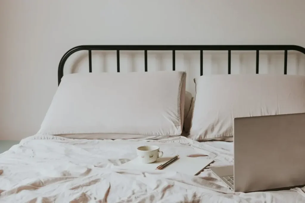 What Exactly Are Buckwheat Hull Pillows?