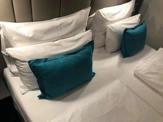 Soft Goose Down Travel Pillows Type
