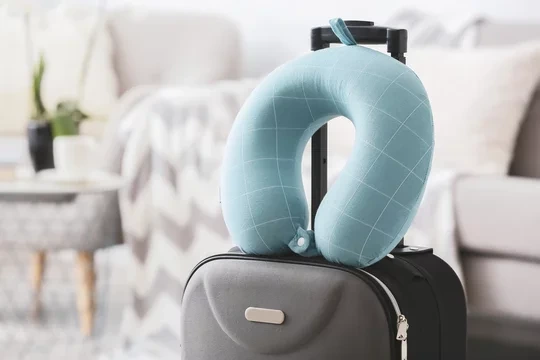 Goose Down Travel Pillow