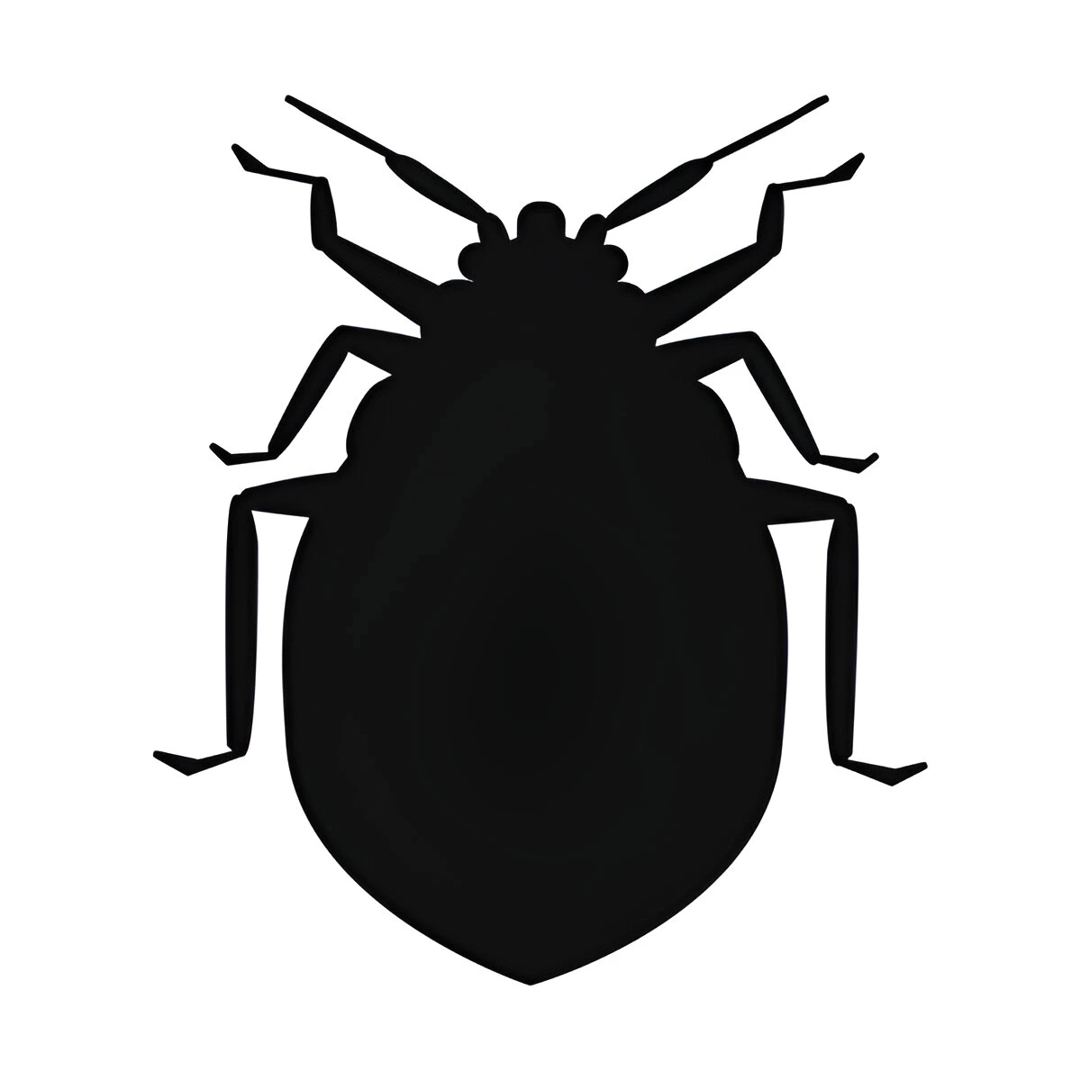 Bed Bugs in Nebraska Guide for Gretna Residents